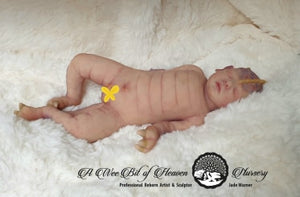 Octavia Butterfly Dragon Full Body Silicone Baby- Un-Painted Kit *DEPOSIT ONLY*